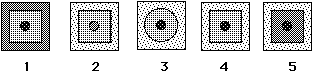 Which shape is the MOST different